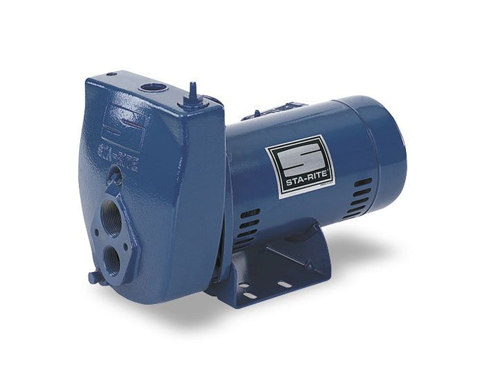 SLD-L 3/4 HP Sta-Rite Deep Well Jet Pump